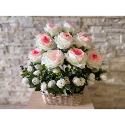 Сосна, 1,5 м. Розпушена