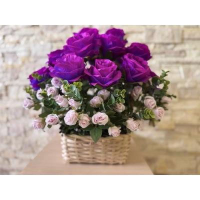 Сосна, 1,5 м. Розпушена