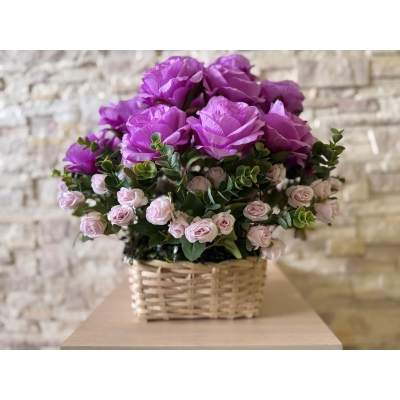 Сосна, 1,5 м. Розпушена