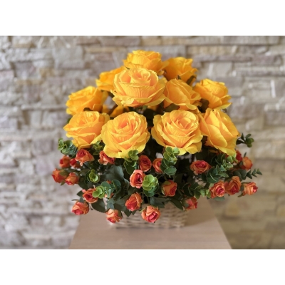 Сосна, 1,5 м. Розпушена