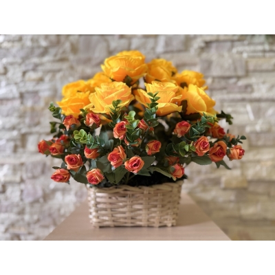 Сосна, 1,5 м. Розпушена