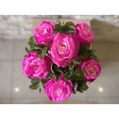 Сосна, 1,5 м. Розпушена