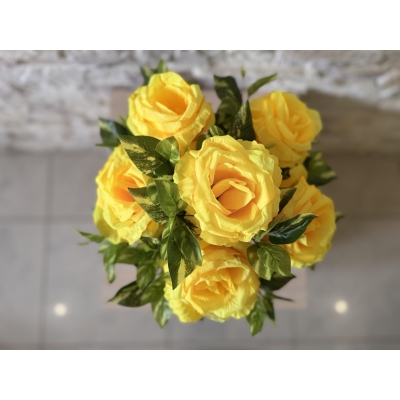 Сосна, 1,5 м. Розпушена