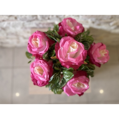 Сосна, 1,5 м. Розпушена