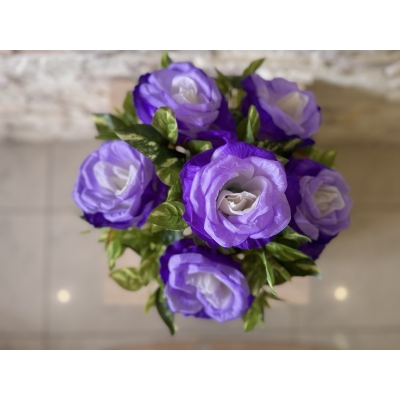 Сосна, 1,5 м. Розпушена