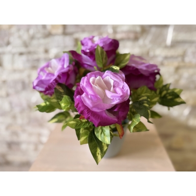 Сосна, 1,5 м. Розпушена