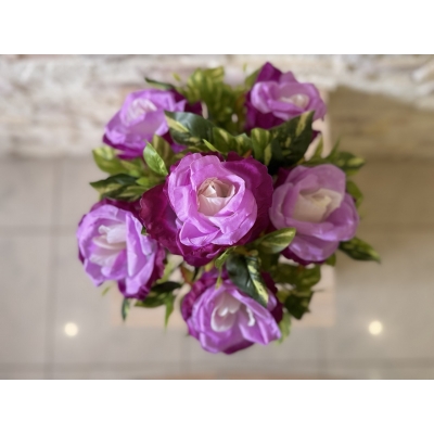 Сосна, 1,5 м. Розпушена