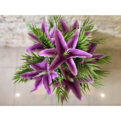 Сосна, 1,5 м. Розпушена