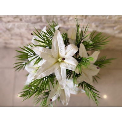 Сосна, 1,5 м. Розпушена