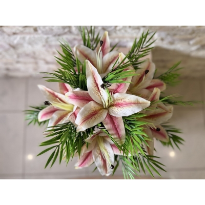 Сосна, 1,5 м. Розпушена