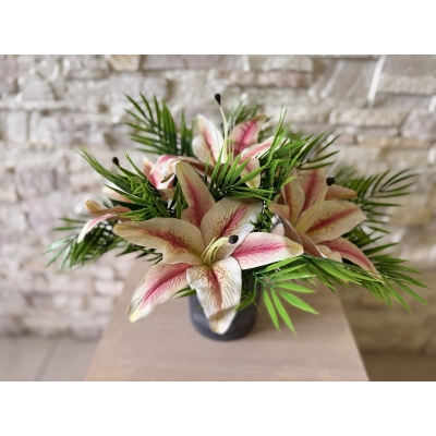 Сосна, 1,5 м. Розпушена