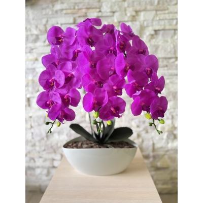 Сосна, 1,5 м. Розпушена