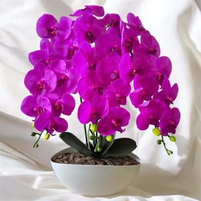 Сосна, 1,5 м. Розпушена