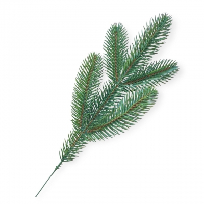 Сосна, 1,5 м. Розпушена