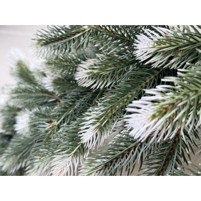 Сосна, 1,5 м. Розпушена