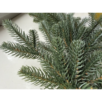 Сосна, 1,5 м. Розпушена