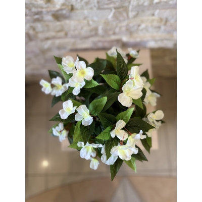 Сосна, 1,5 м. Розпушена