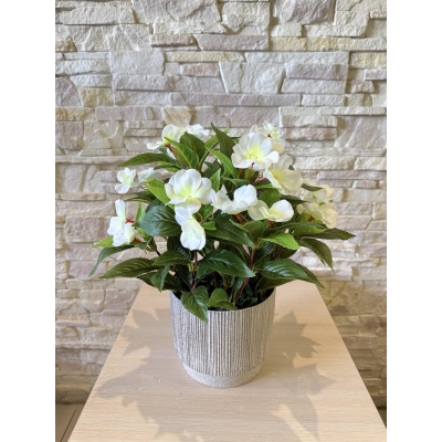 Сосна, 1,5 м. Розпушена