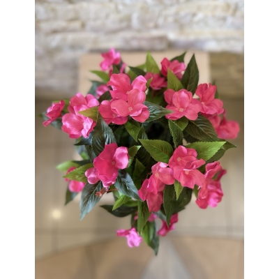 Сосна, 1,5 м. Розпушена