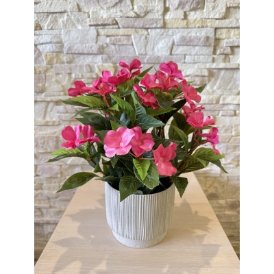 Сосна, 1,5 м. Розпушена