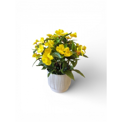 Сосна, 1,5 м. Розпушена