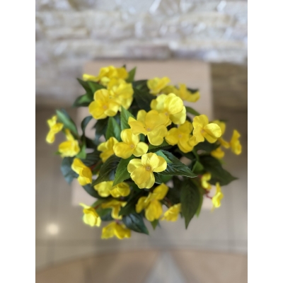 Сосна, 1,5 м. Розпушена