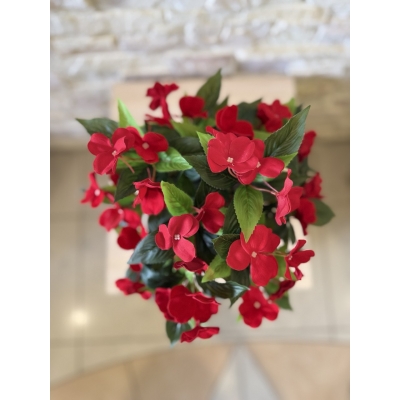 Сосна, 1,5 м. Розпушена