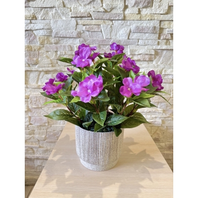 Сосна, 1,5 м. Розпушена