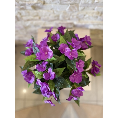 Сосна, 1,5 м. Розпушена