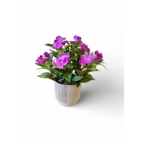 Букет бегоній в кашпо бузкової