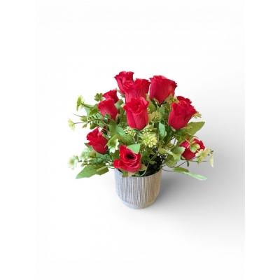 Сосна, 1,5 м. Розпушена