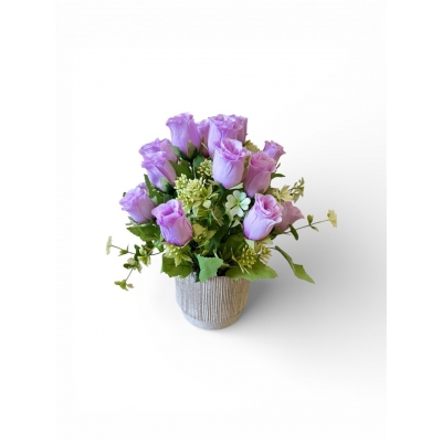 Сосна, 1,5 м. Розпушена