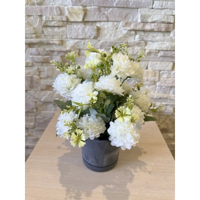 Сосна, 1,5 м. Розпушена