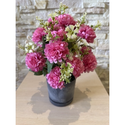 Сосна, 1,5 м. Розпушена