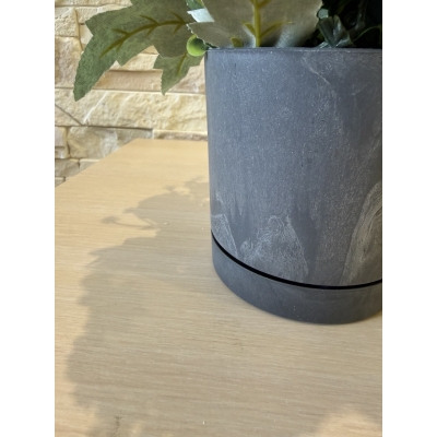 Сосна, 1,5 м. Розпушена