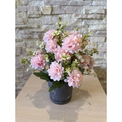 Сосна, 1,5 м. Розпушена