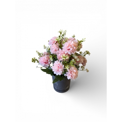 Сосна, 1,5 м. Розпушена