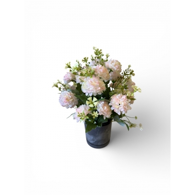 Сосна, 1,5 м. Розпушена