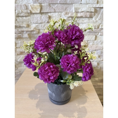 Сосна, 1,5 м. Розпушена