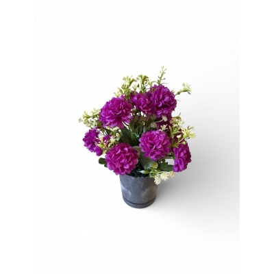 Сосна, 1,5 м. Розпушена