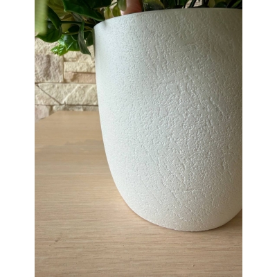 Сосна, 1,5 м. Розпушена