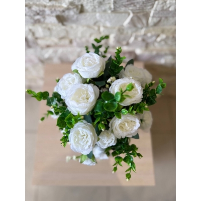 Сосна, 1,5 м. Розпушена