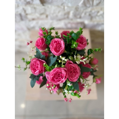 Сосна, 1,5 м. Розпушена