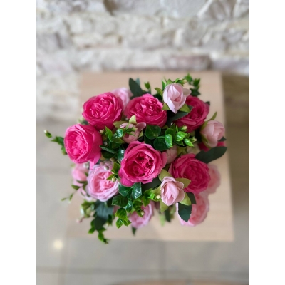 Сосна, 1,5 м. Розпушена