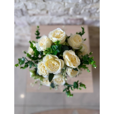 Сосна, 1,5 м. Розпушена