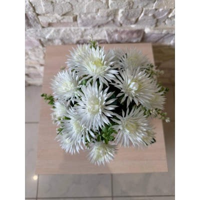 Сосна, 1,5 м. Розпушена