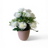 Букет астры пластиковой в кашпо