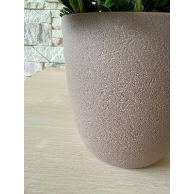 Сосна, 1,5 м. Розпушена