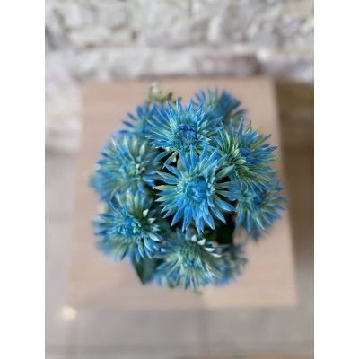 Сосна, 1,5 м. Розпушена