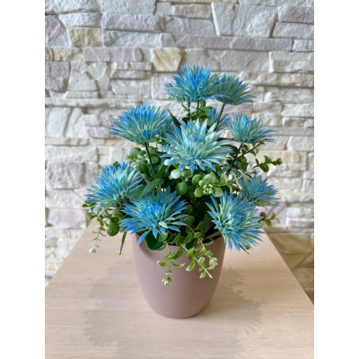 Сосна, 1,5 м. Розпушена